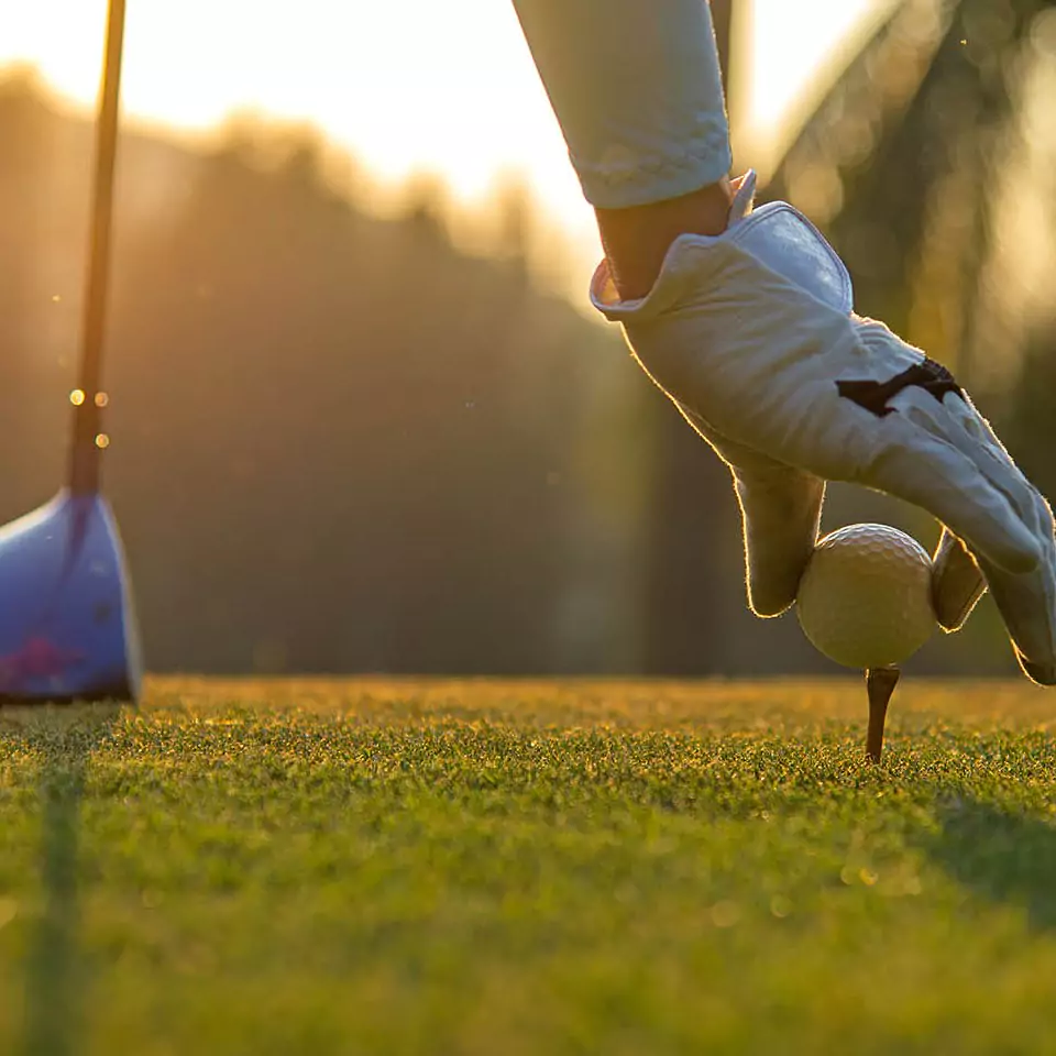 FESPO und Golfmesse