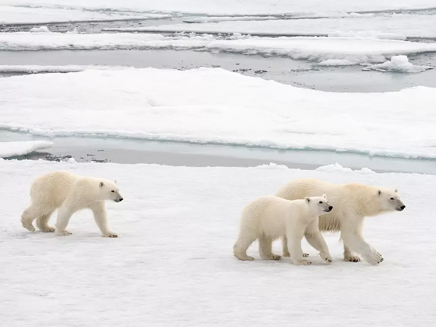 Spitzbergen Umrundung