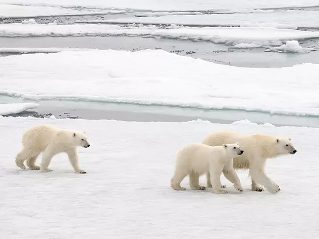 Spitzbergen Umrundung