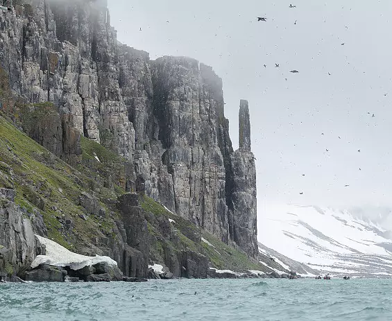 Spitzbergen_Alkefjellet_c_Vreni_Stefan_gerber_s.jpg