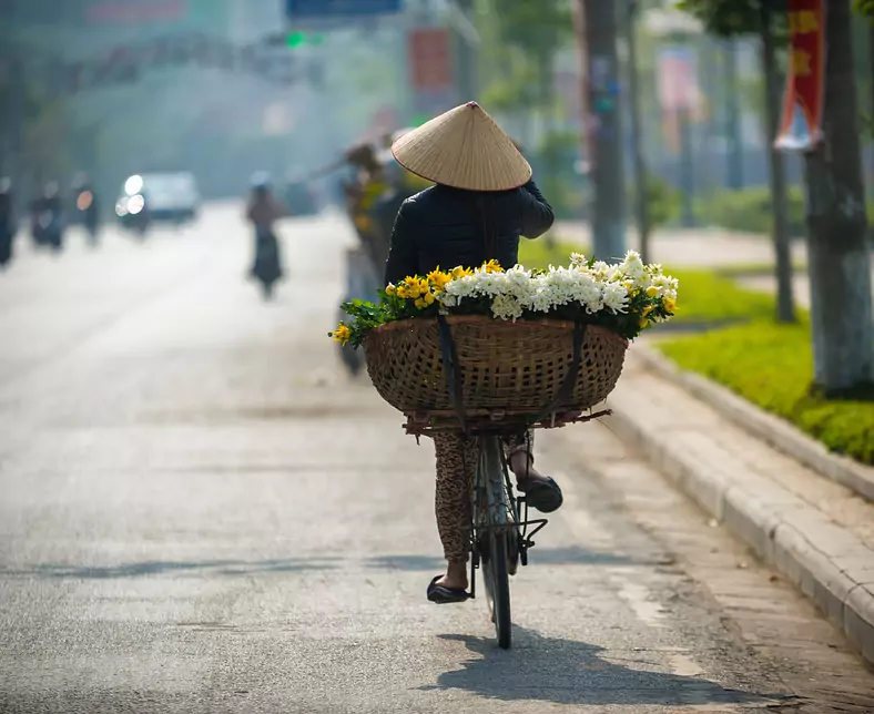 Vietnam-Menschen-Hanoi_ Female street vendor with bycycle-71211.jpg