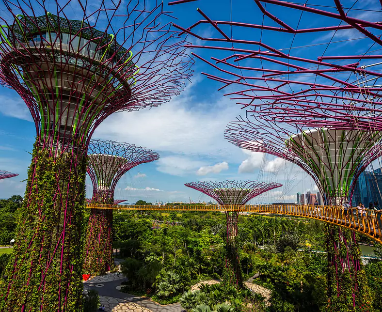 Singapur-Gardens by the Bay-Singapore Garden By the Bay Supertree grove-102630.jpg