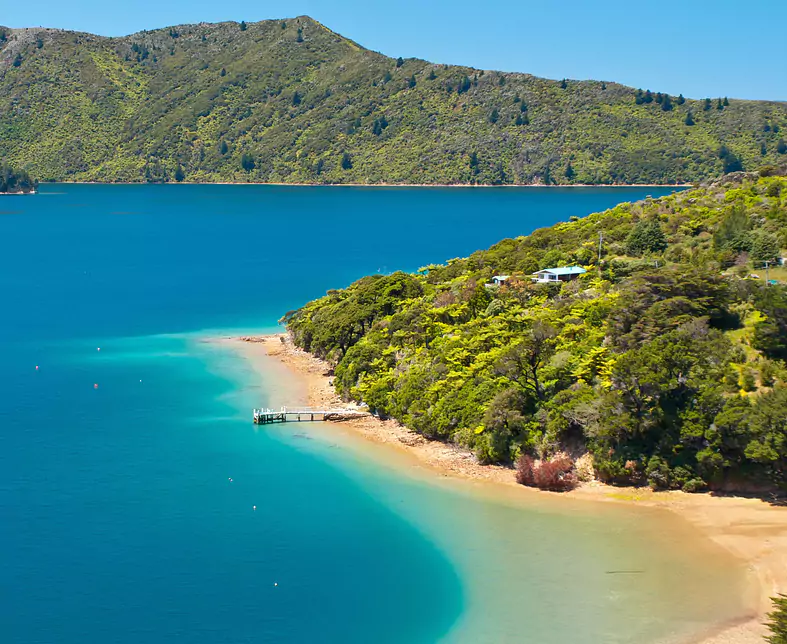 Grüner Wald und blaues Wasser im Marlborough-Ton, Neuseeland.jpg