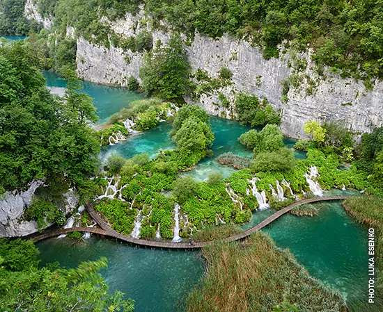 Fespo-Zurich-2024_gallery_550x450_8.jpg
