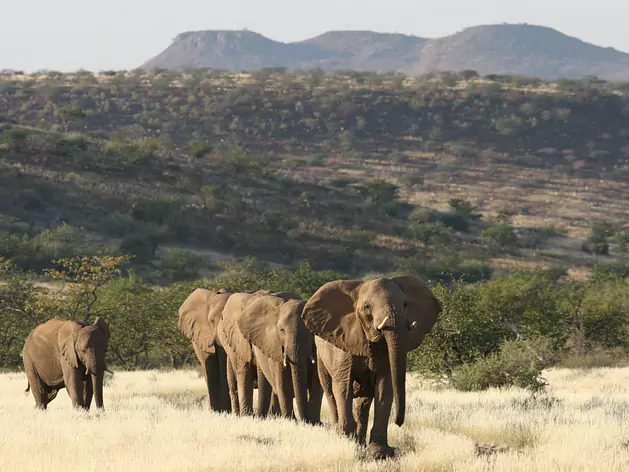 Highlights of Namibia