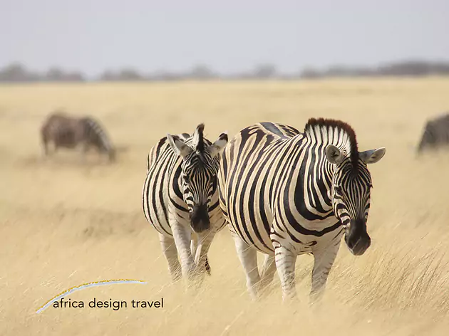 Namibia vom Experten