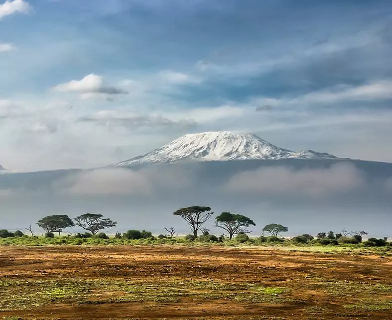 Amboseli National Park, Kenya.jpg
