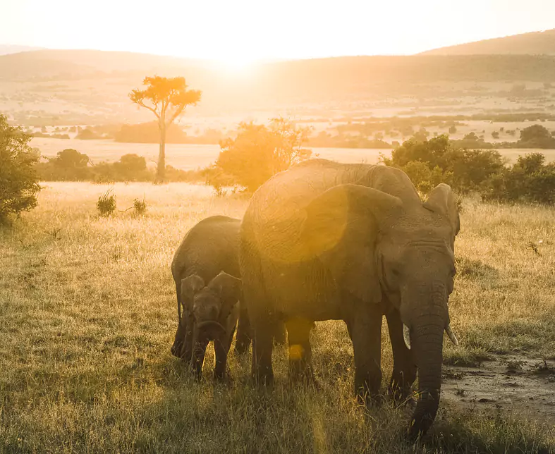 Kenia.jpg
