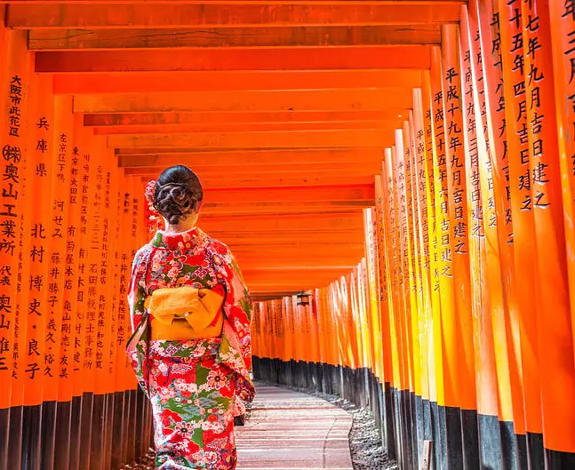image_manager__travel-image_die-roten-tore-des-fushimi-inari-taisha-credit-superjoseph-stock.adobe.com.jpg