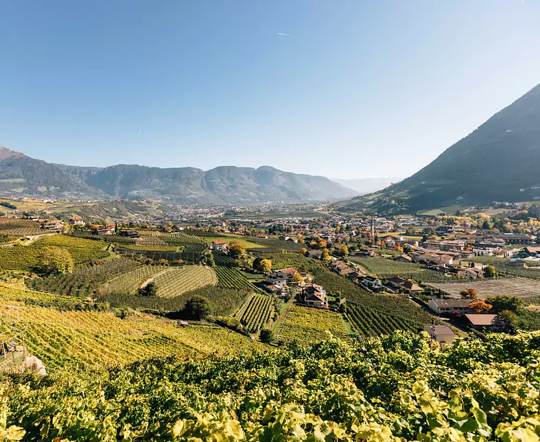 Benjamin_Pfitscher_WEB__bp_341227_c_benjamin_pfitscher_c_benjamin_pfitscher_web (61).jpg