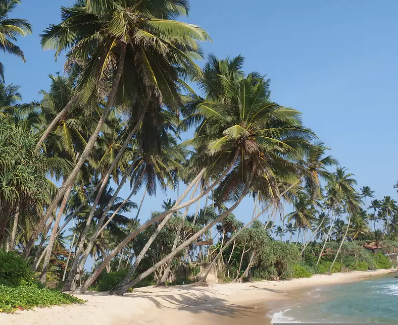 sri-lanka-822613.jpg