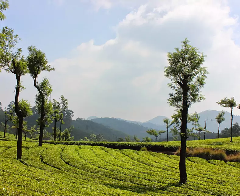 landscape-3080146.jpg