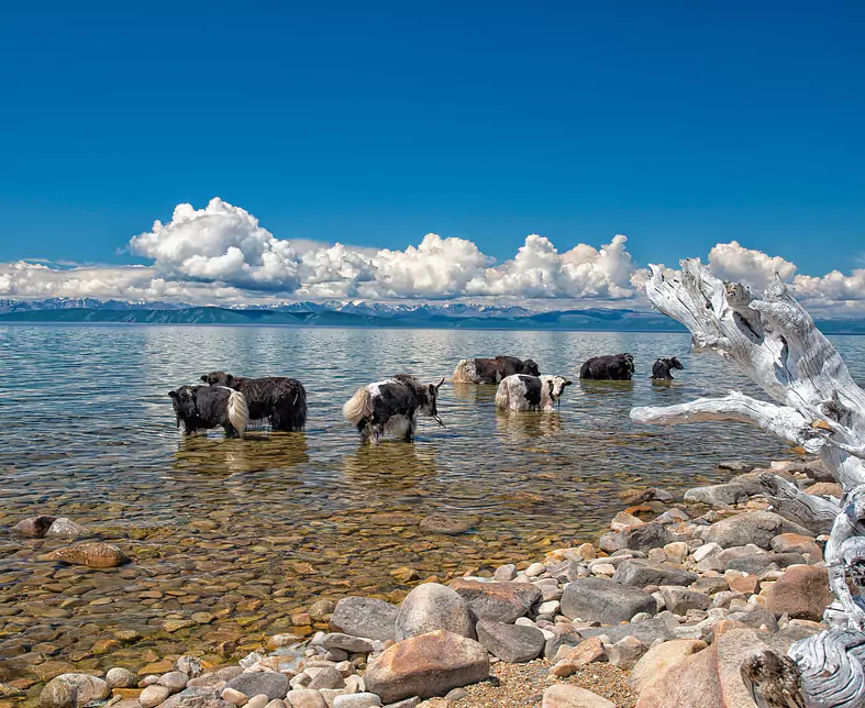 lake-2453967_1920.jpg