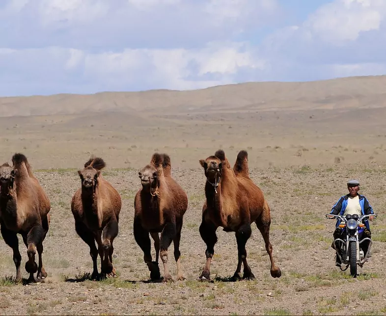 mongolia-692652_1920.jpg