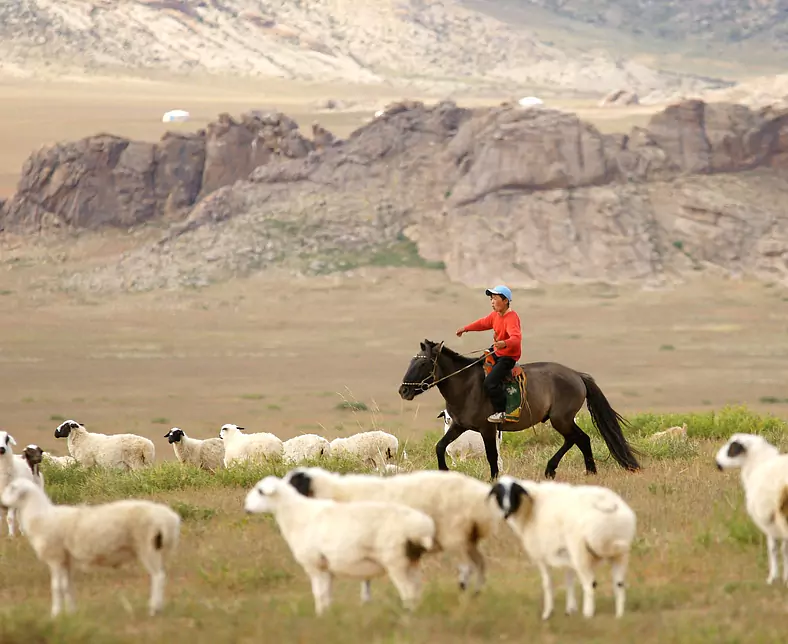 mongolia-419875_1920.jpg