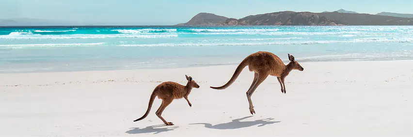 Unterwegs auf Westaustraliens Traumstrassen