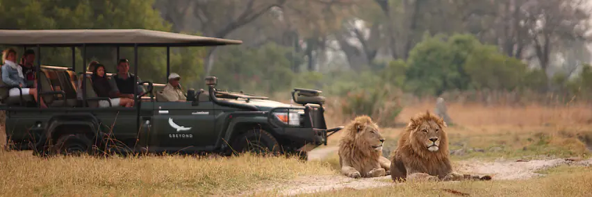 Botswana - Wasser, Wüste & Tiere