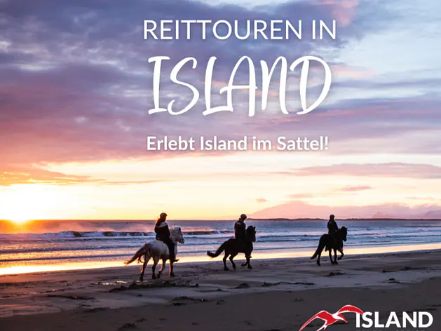 Reiten auf Island