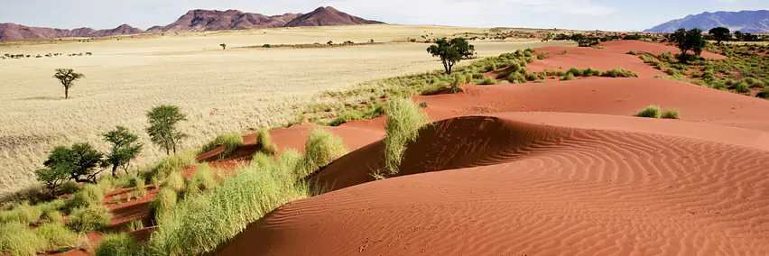 Namibia - Land der Kontraste - endlose Horizonte