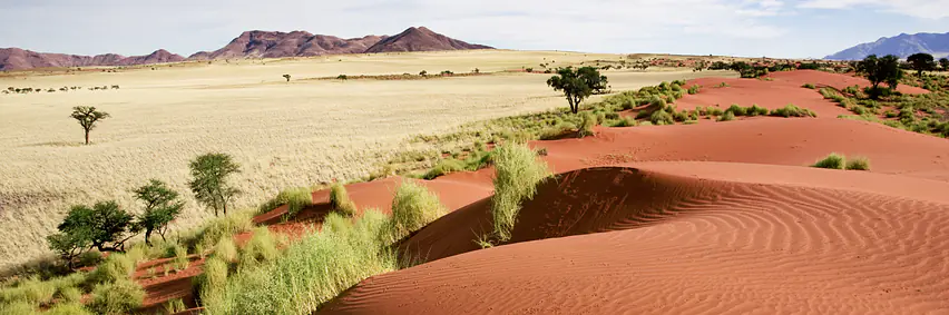 Namibia - Land der Kontraste - endlose Horizonte