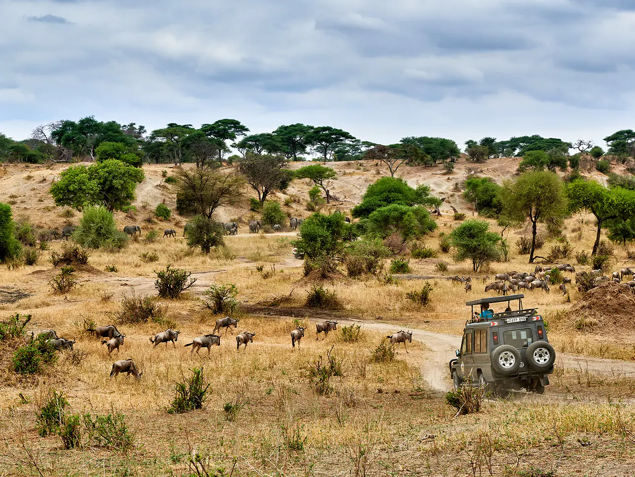 Östliches Afrika