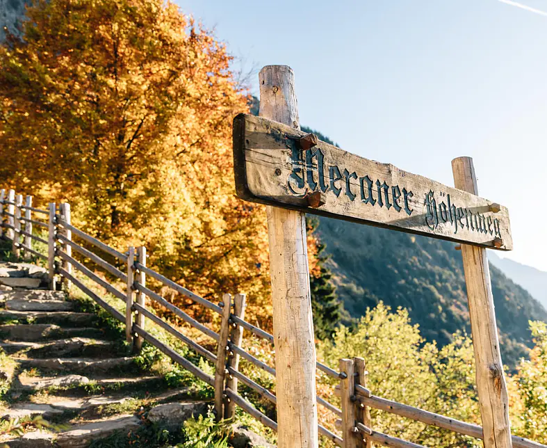 Benjamin_Pfitscher_WEB__bp_341227_c_benjamin_pfitscher_c_benjamin_pfitscher_web (31) Herbst Berg Panorama Sonnenaufgang Meraner Höhenweg.jpg