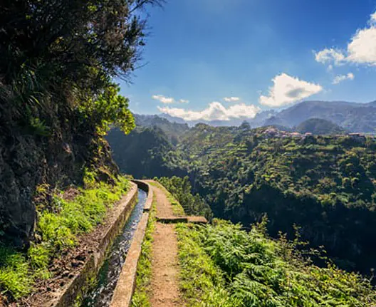 Portugal_Madeira_Levada_do_Castelejo.jpg