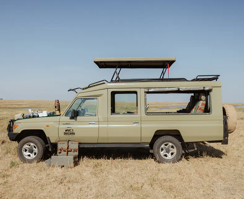 Tanzania Safari Bug - Vehicle.jpg