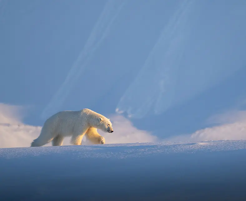 Fotoreise-Spitzbergen-46.jpg