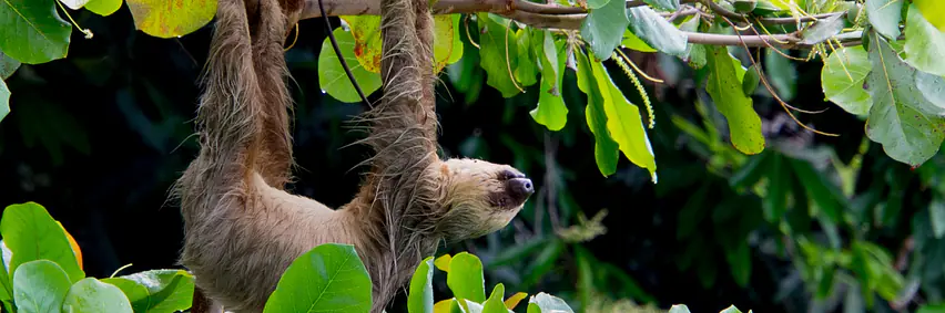 Costa Rica