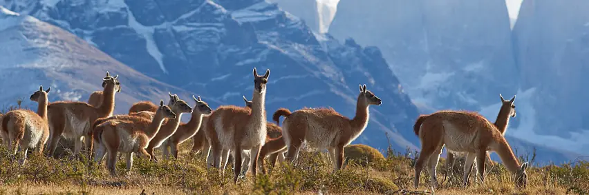 Argentinien/Chile