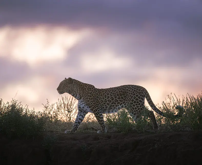 Fotoreise-Botswana-Green-Season-01.jpg