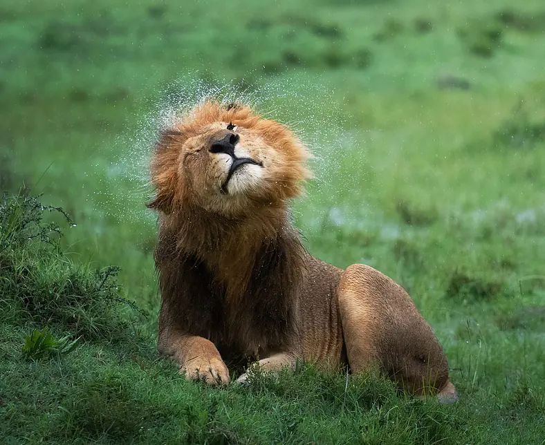 Fotoreise-Kenia-Masai-Mara-24.jpg