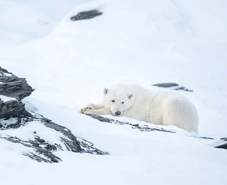 Fotoreise-Spitzbergen-19.jpg