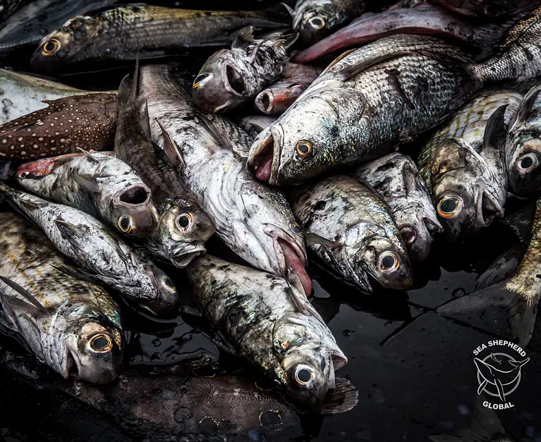 Kopie von IMG_7559-2.jpg