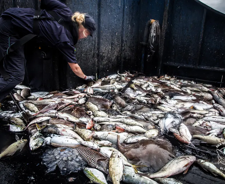 Kopie von 170917-OA2-TL-SavingThefish-02-IMG_7431.jpg