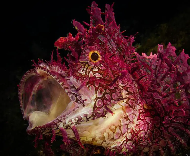 Alam_Batu (8).jpg