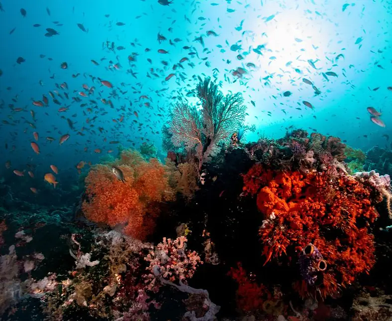Sali_Bay (164).jpg