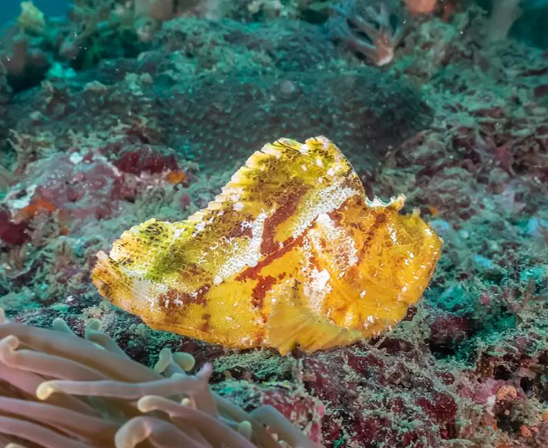 Temple_Point (46).jpg