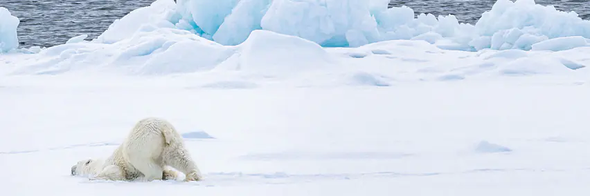 Arktis erleben - Grönland, Spitzbergen und Nordpol