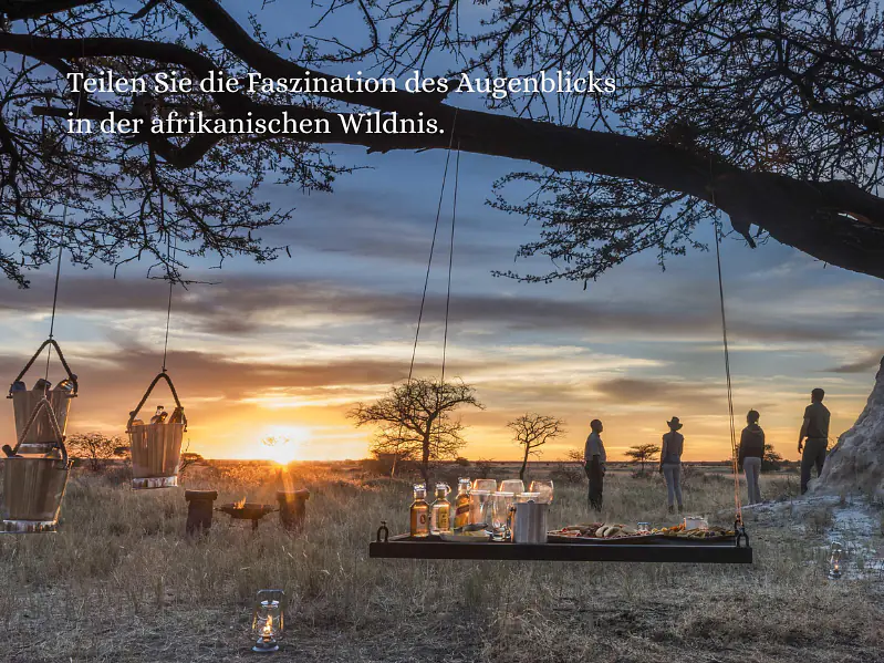 Familien & Kleingruppen Safaris