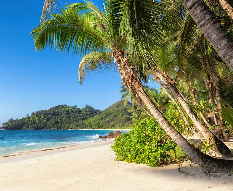 Jamaica_Cunard_GettyImages-2180755051.jpg