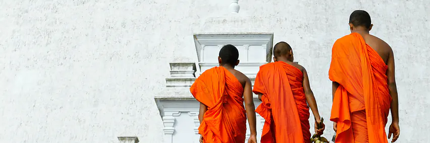 Sri Lanka - Mehr als Reisen! Erlebnisse die bleiben, Momente die verzaubern