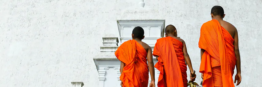 Sri Lanka - Mehr als Reisen! Erlebnisse die bleiben, Momente die verzaubern