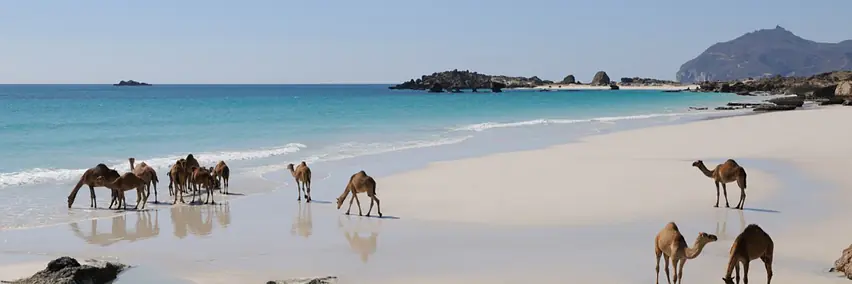 Oman - Zwischen Gebirgen, Wüsten und Küsten 