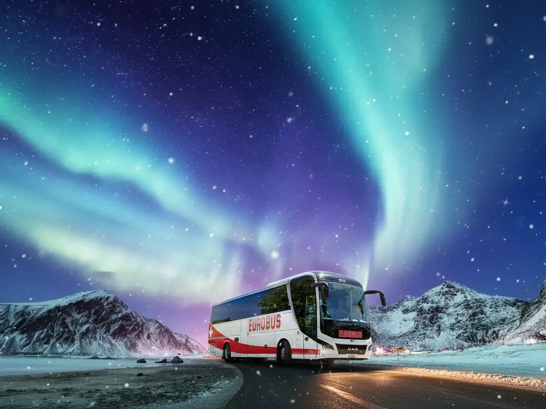 Busreisen durch ganz Europa 