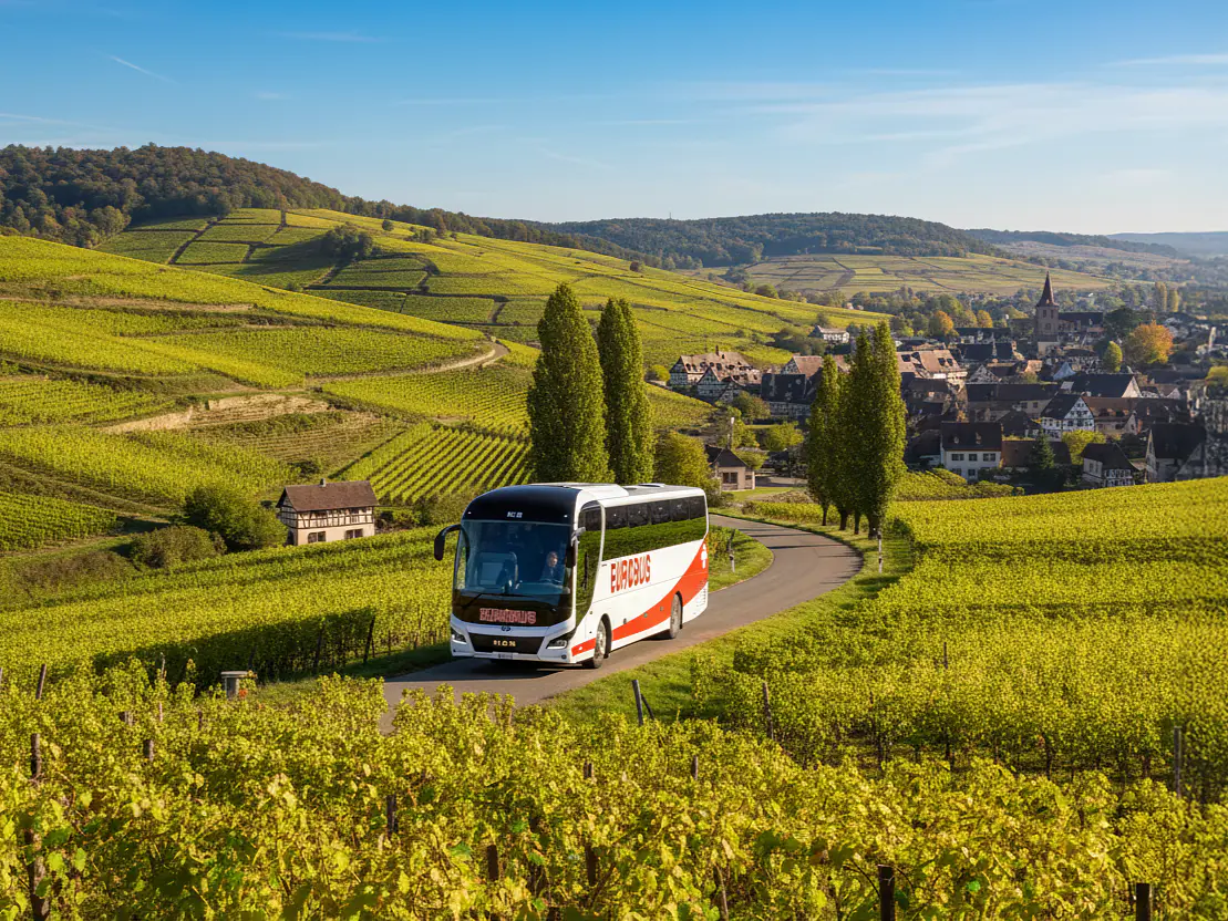 Tagesausflüge & Tagesreisen