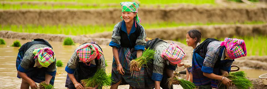 Vietnam - Reisterrassen und Bergfeen