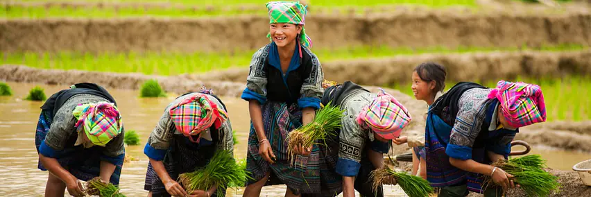 Vietnam - Reisterrassen und Bergfeen