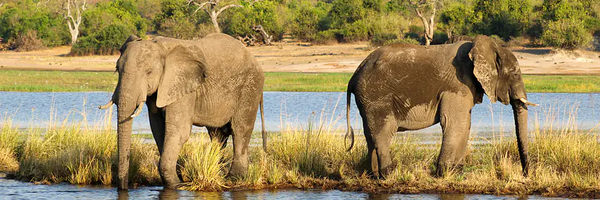 Globetrotter «Unterwegs mit»: Botswana im 4x4 Camper